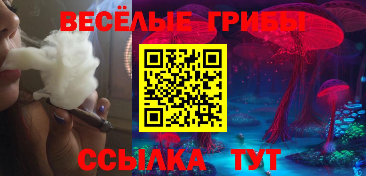 Псилоцибиновые грибы Magic Shrooms Мичуринск